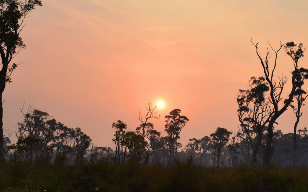 Wildfire risk