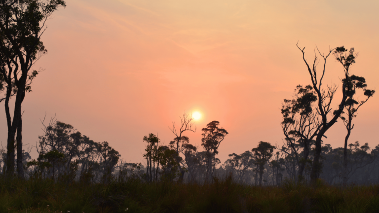 Wildfire risk