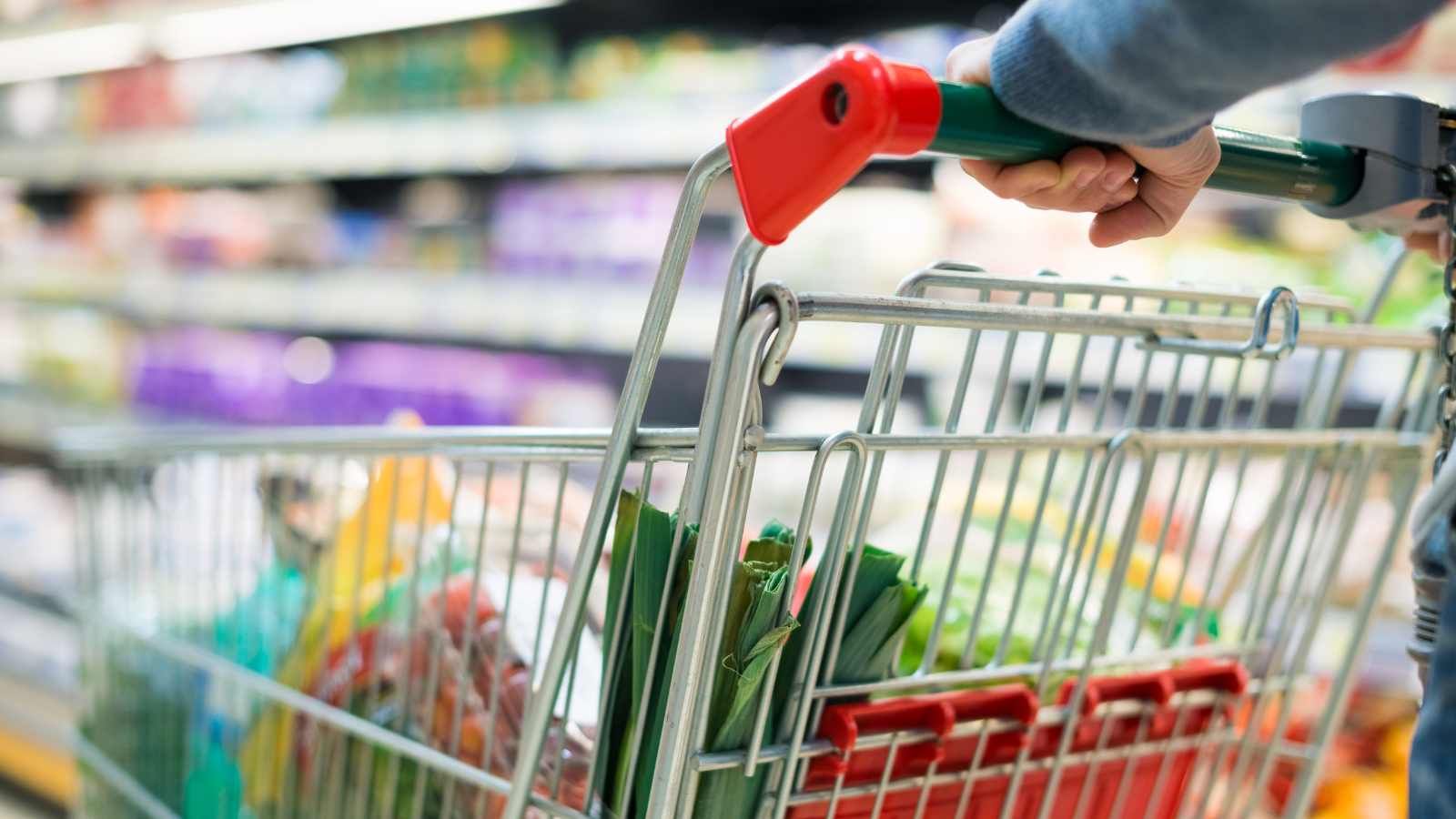 Consumer Price Index Consumer Price Index