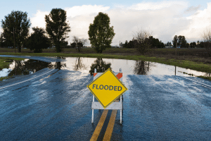 Flood Flood