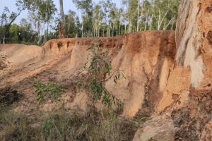 Soil erosion Soil erosion