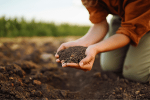 Soil Soil