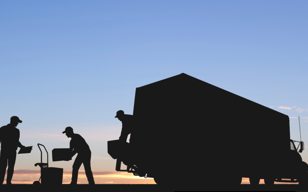 Australian migration trends