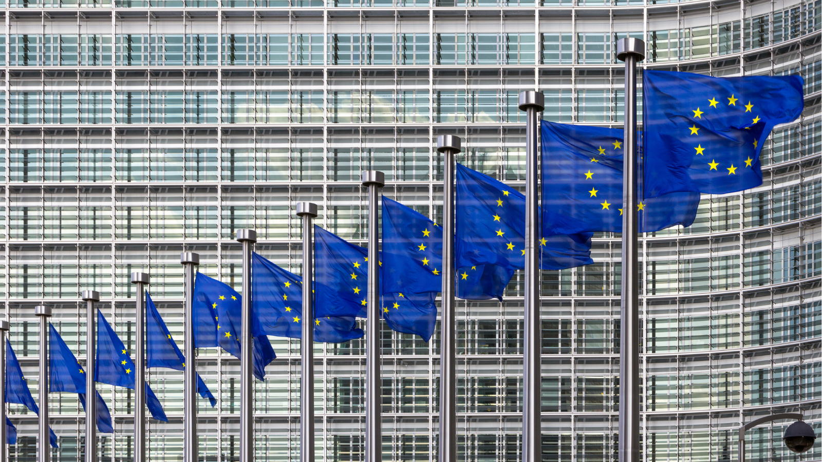 A row of European Union flags in a line in front of a building