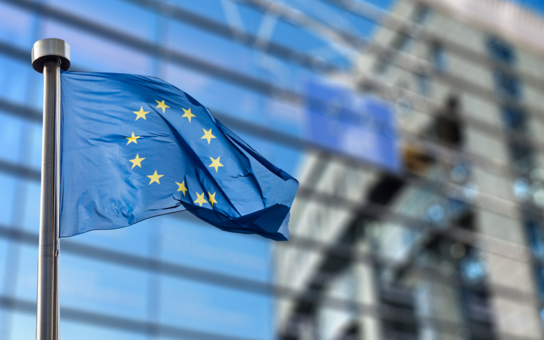 European Union flag in front of a building
